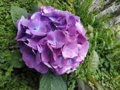 -驿舍·民國老营房院子私房菜(科学会堂店)