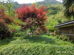 -黄公望隐居地