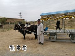 -水洞沟旅游区