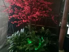 -碧露轩·大益茶体验馆(镇江路店)