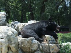 -北京野生动物园