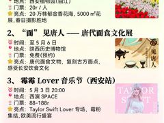 -大雁塔北广场音乐喷泉