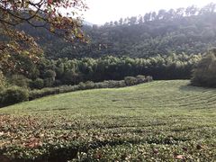 -敬亭山风景名胜区