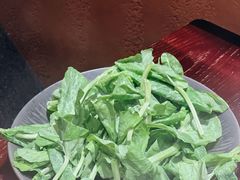 -滇野云南野生菌餐厅(陕西南路店)