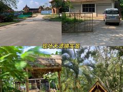 -西双版纳傣族园
