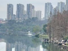 -重庆彩云湖湿地公园