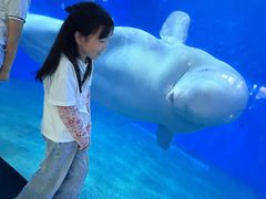 -泉城欧乐堡海洋极地世界