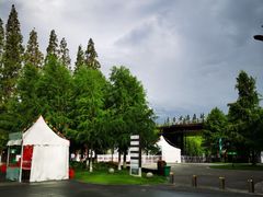 -黄海国家森林公园