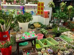 -循礼门鲜花花市(武汉循礼门店)