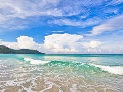 -咏春拳学总会·一拳咏春(双井店)