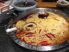 -一斗火锅·招财羊毛肚(泰吉滨江店)