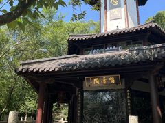 -上海佘山国家森林公园天马山园