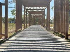 -福田红树林生态公园