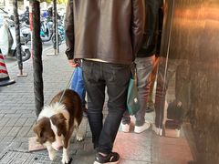 -杨震卤菜旗舰店