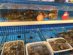 -日进一片海.生腌海鲜火锅.宵夜烧烤(三里屯总店)