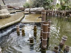 -黄龙溪古镇