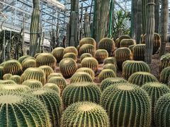 -南山植物园