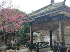-墨池公园