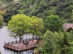 -九如山休闲旅游度假区