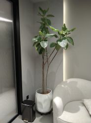 -颜蕾医美·黄金微针·水光·玻尿酸·超声炮·抗衰中心