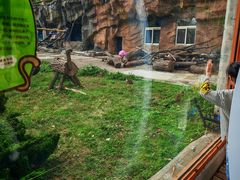 -大连森林动物园