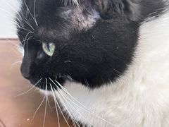 -艾加柒克蛋糕茶歇甜品台(春熙路店)