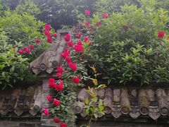 -楠柏弯休闲山庄(梨花溪店)