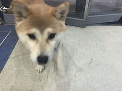 -宠颐生动物医院·心脏科·保险定点(锦阳分院)