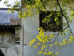 -乌镇景区