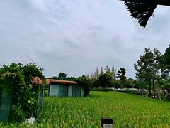 -洪湖家庭农场·团建·露营·会议