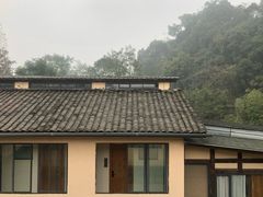 -乐领拈花溪·林涧食韵