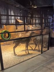 -酷嗒动物文化乐园(cutezoo西溪乐天城店)