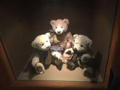 -济州岛泰迪熊博物馆