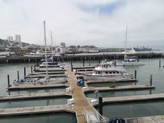 -Swiss Louis Italian & Seafood Restaurant