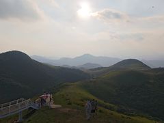 -大姆山草场