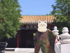 -武清南湖绿博园