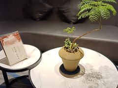 -广州酒家(中华广场店)