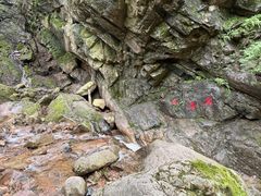 -驼梁风景区