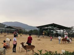 -无锡动物园·太湖欢乐园