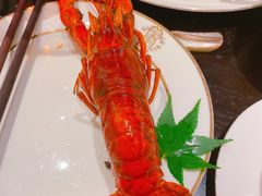 -甄御•海鲜新青岛菜(麦岛店)