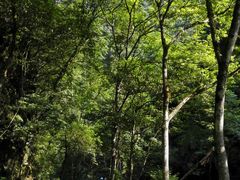 -西岭雪山大飞水景区