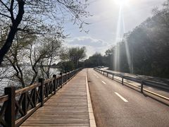 -沈阳鸟岛