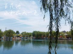 -百花洲