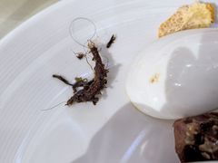 -云境生态园(高新旗舰店)