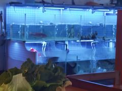 -山海蟹庐·海鲜糟粕醋火锅(慈溪店)