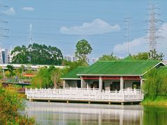 -王借岗森林公园