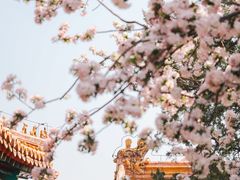 -故宫博物院(故宫)