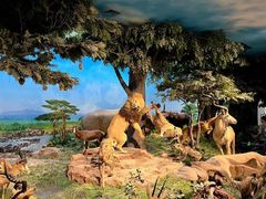 -国家自然博物馆