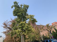 -大连人民广场