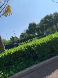 -HEYAN长风荷妍专业脱毛美肤
